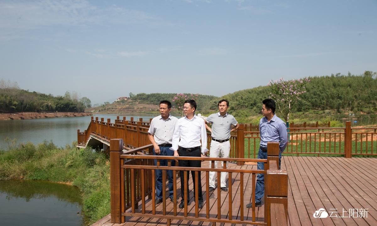 王建华调研"南市渔歌"-阳新县人民政府