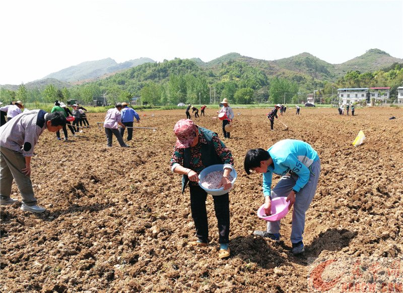 20180503110142533.jpg 20180503110142533.jpg