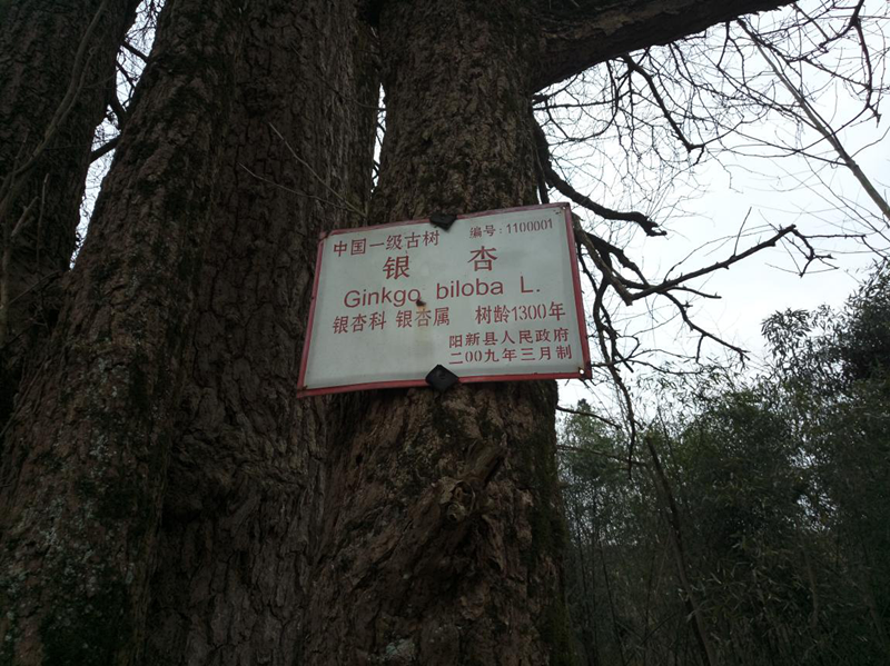 20180314103228281_副本.png