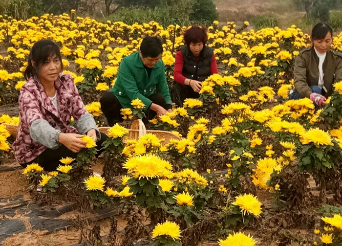 6b05dcd794af901f49cca3d983e1308b_副本.jpg