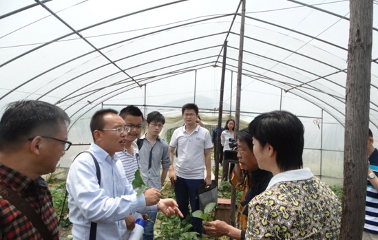 县绿办联合县科协深入基地举办草莓种植培训班