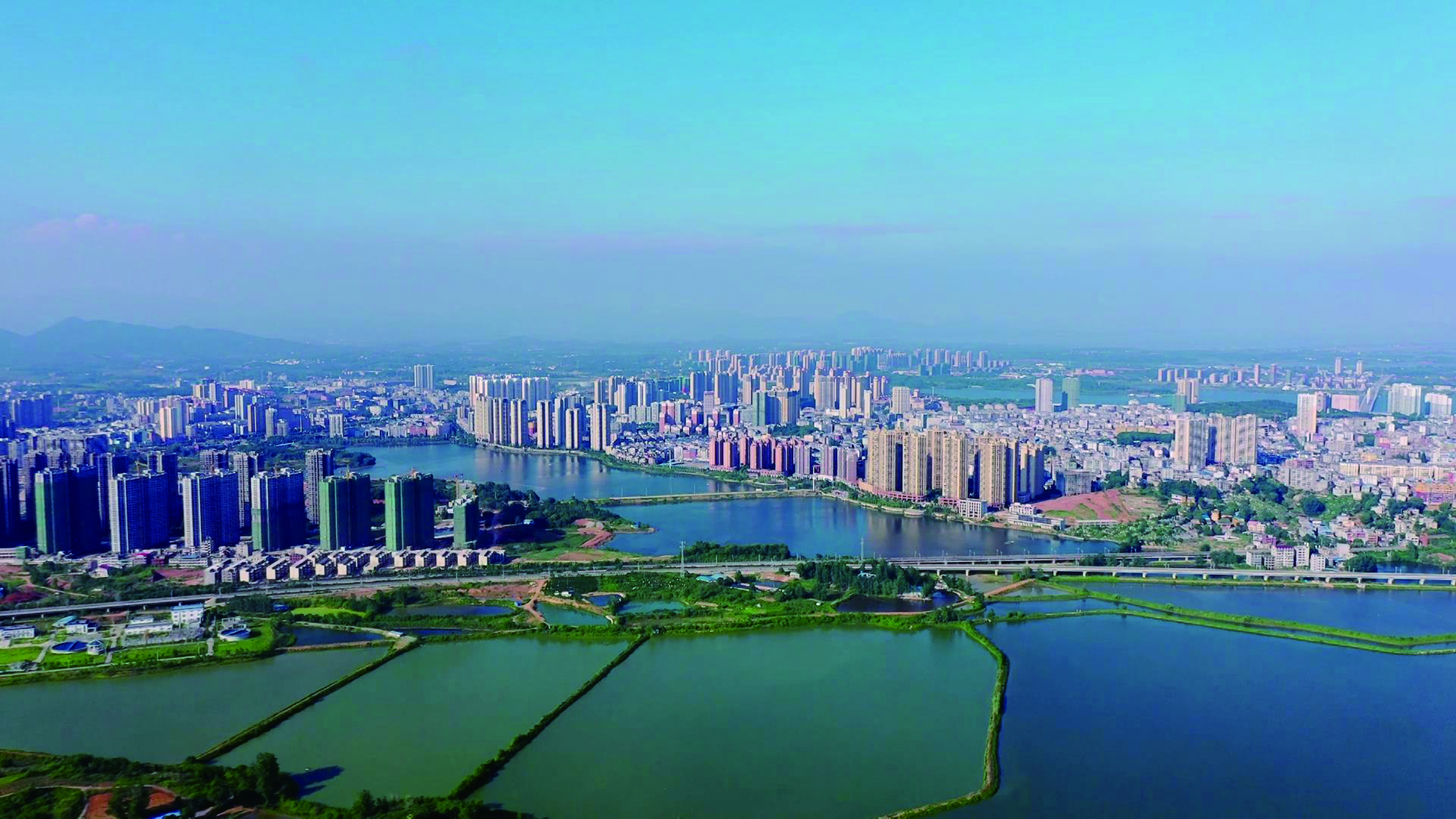 冲百强 作示范 绽放活力犇起来-阳新县人民政府