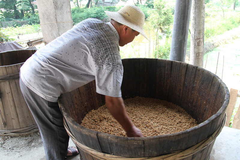 2—1蒸 谷（原料入甑）_副本.jpg