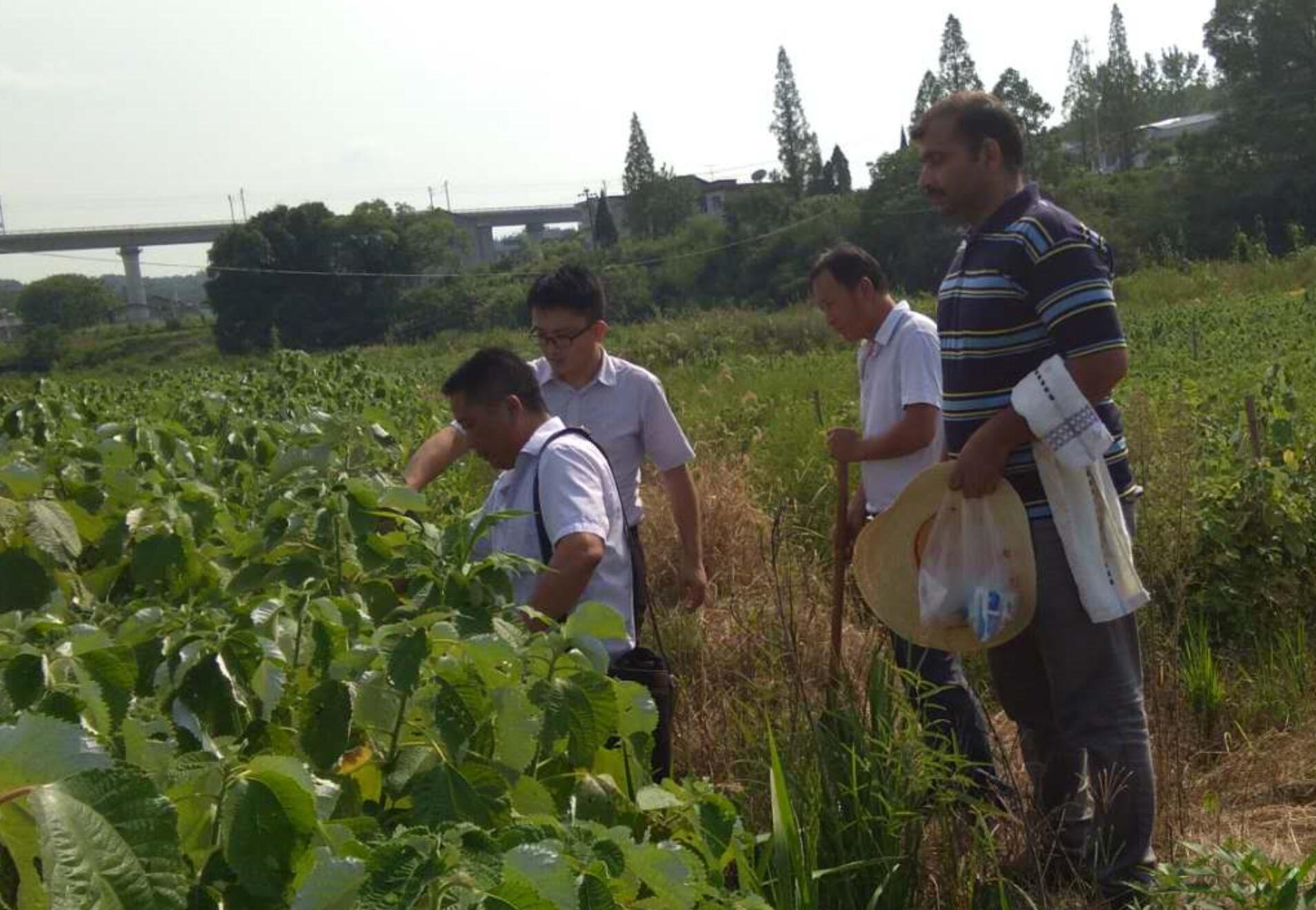 QQ截图20180811111840.jpg QQ截图20180811111840.jpg