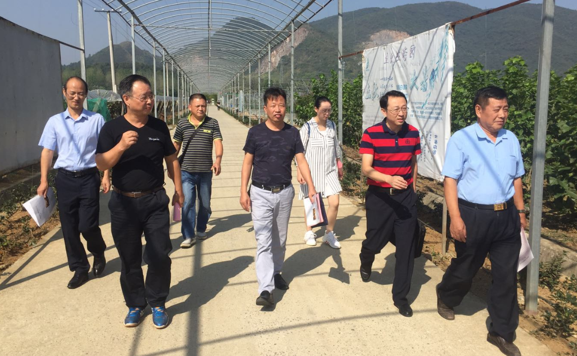 QQ截图20181016100129.png QQ截图20181016100129.png