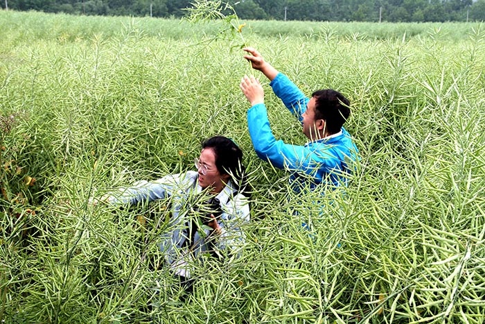 IMG_1209.jpg IMG_1209.jpg